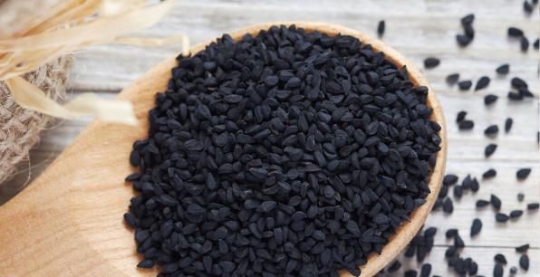 buy Lallemantia seeds from exporters